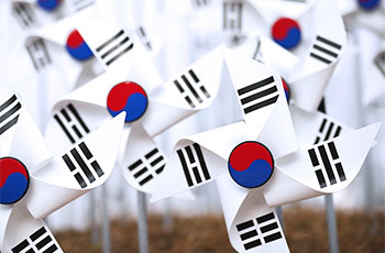 韓国国旗の風車